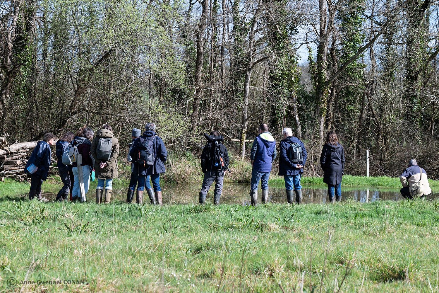 Retour sur la journée d’échanges autour des protocoles POPAmphibien et POPReptile